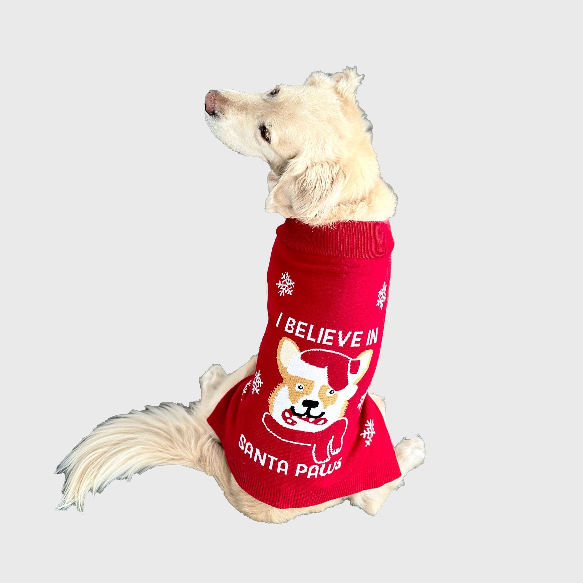 Santa paws julegenser til hund